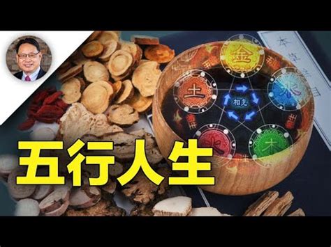 飲食業 五行|【飲食業五行】飲食業五行：如何在餐飲業中平衡火與水的能量？。